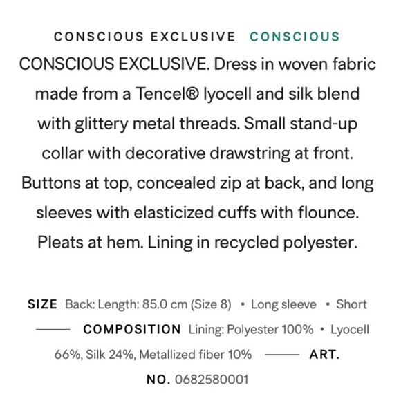 H&M Conscious Collection Metallic Dropwaist Dress - Picture 8 of 8